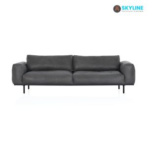 sofa da png